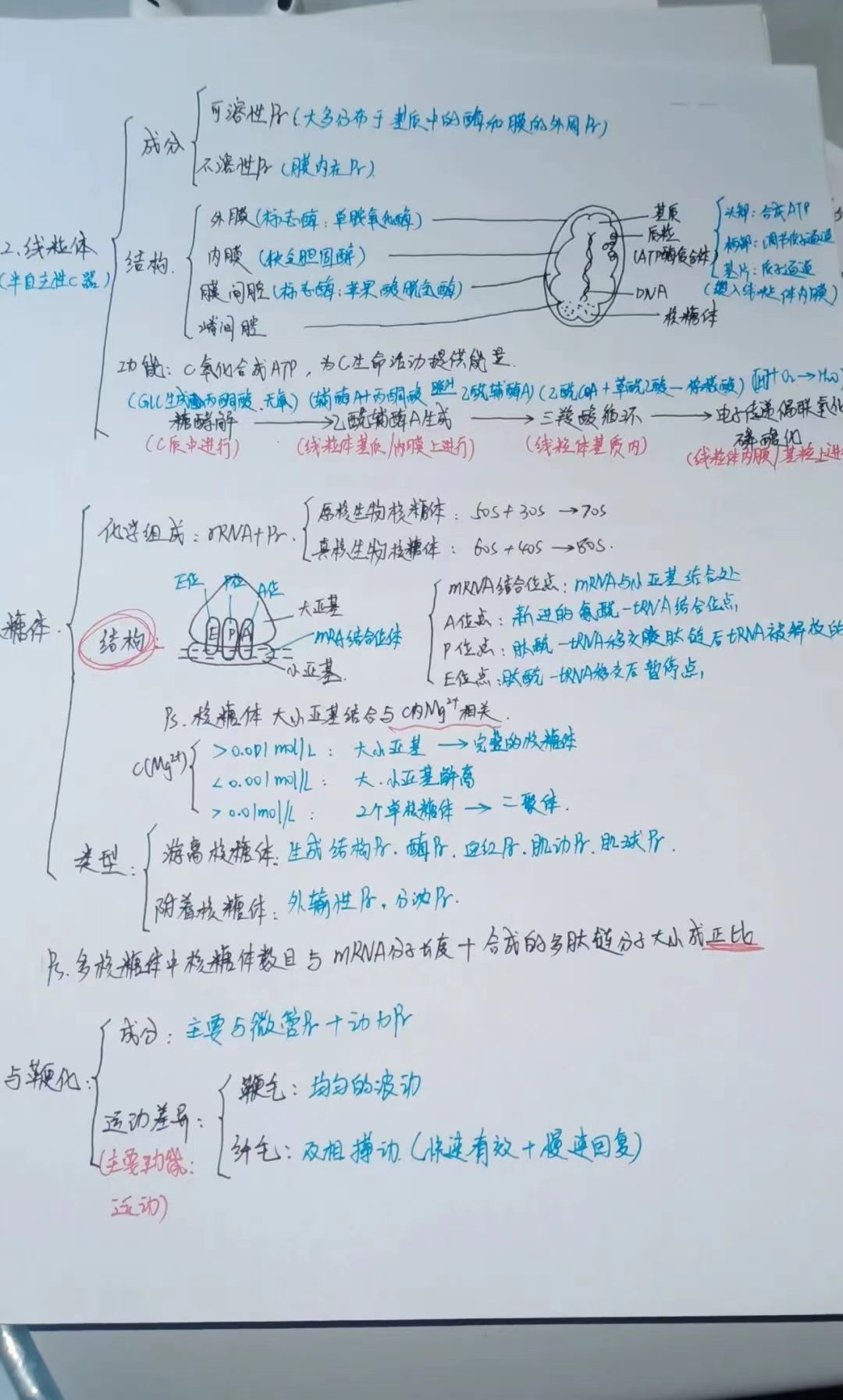 cc4ac2358da46e04c53076f1baf7a53.jpg