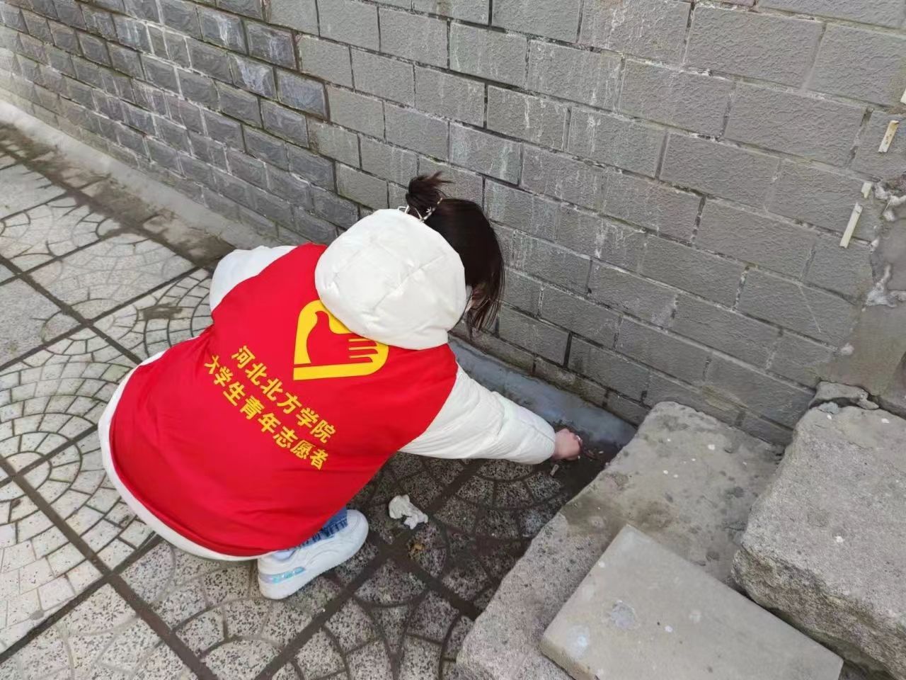 1706241498101233.jpg