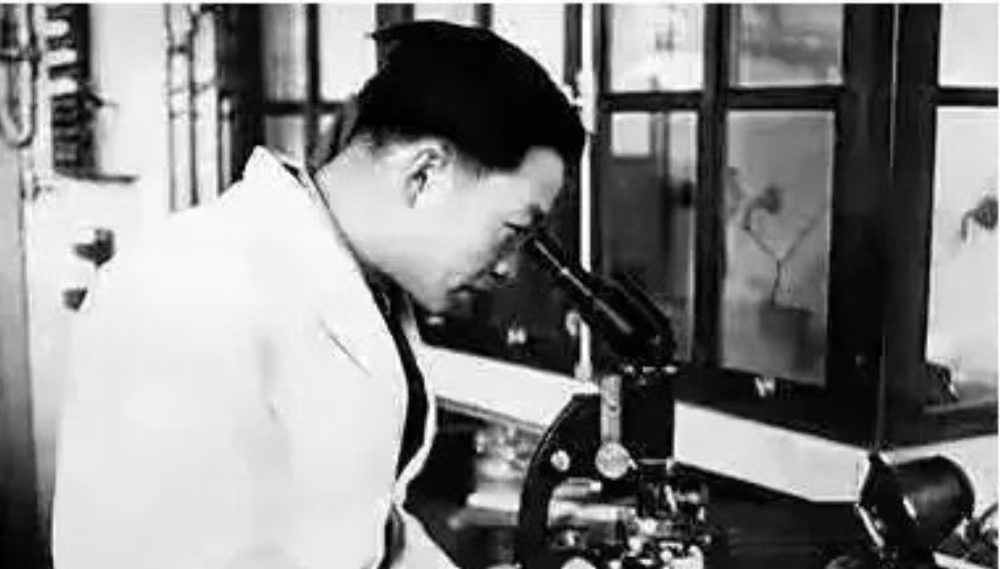 1764842242653646.jpg 1764842242653646.jpg